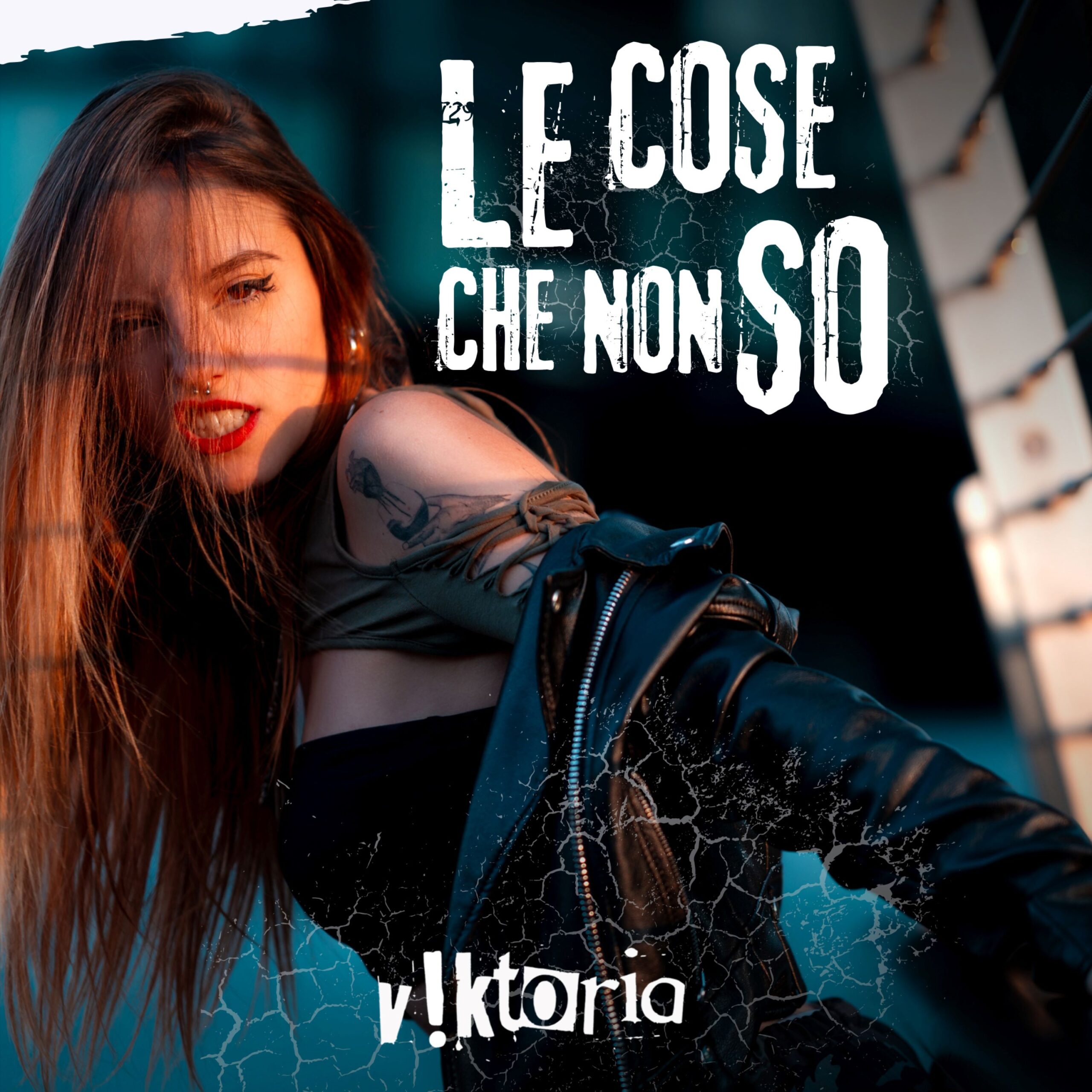 v!ktoria - Le cose che non so