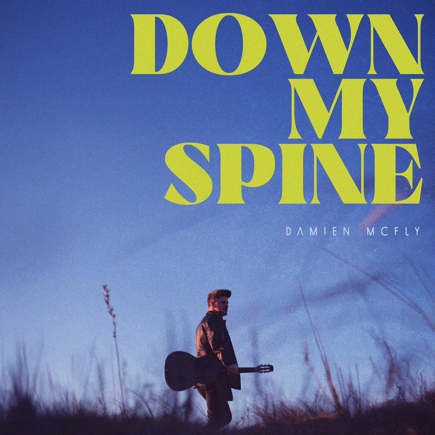 Damien McFly - Down my spine