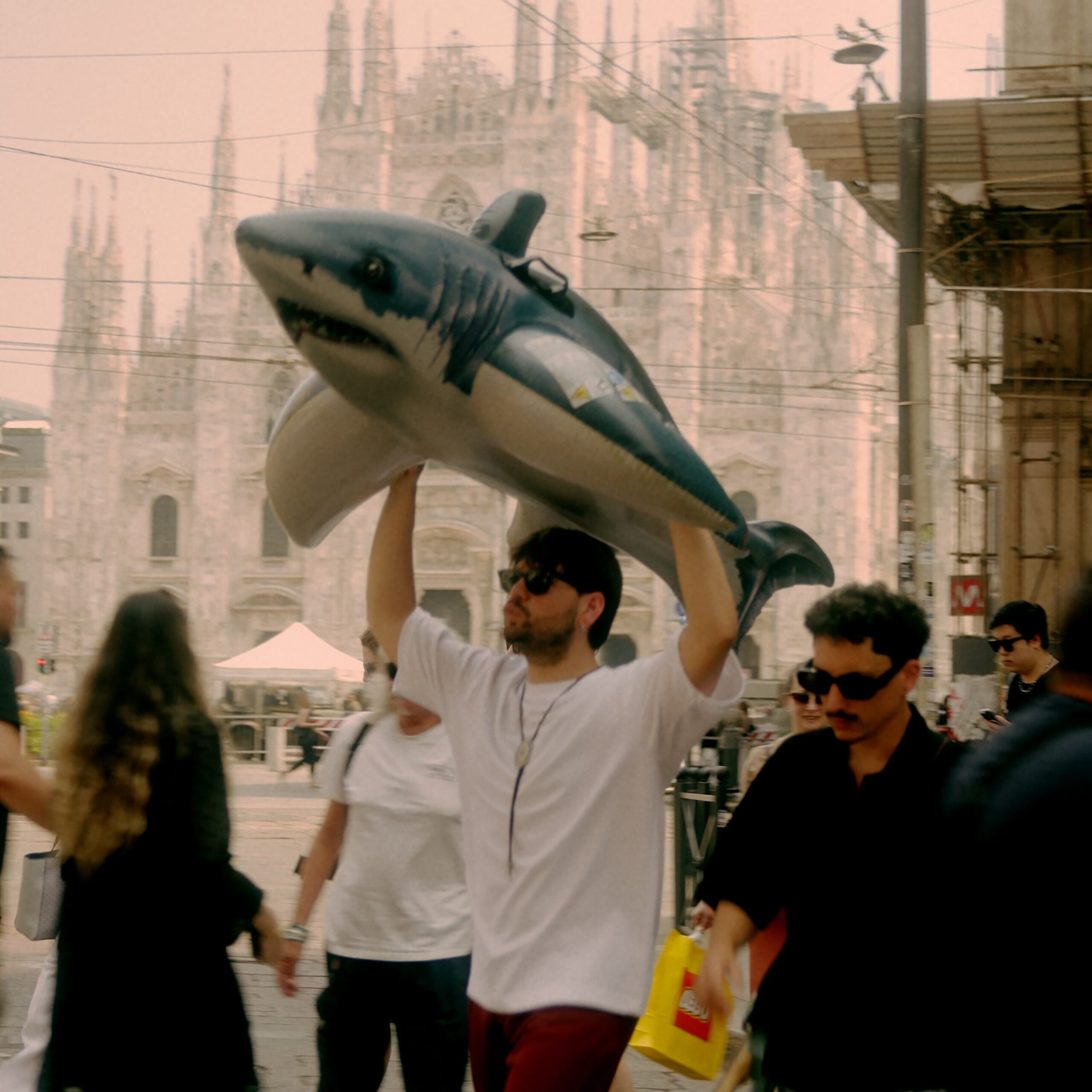 Viito - Squali (tutti al mare)