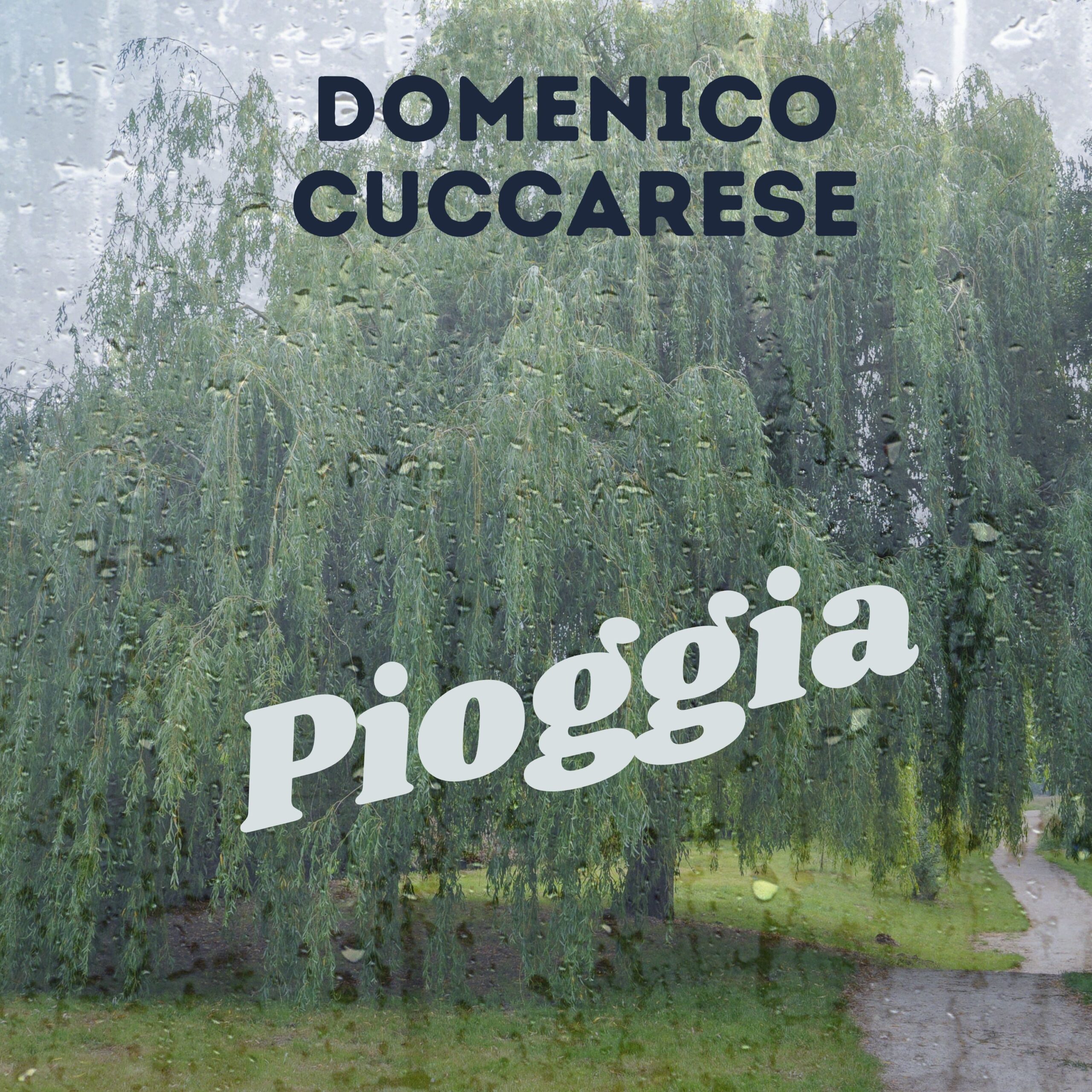Domenico Cuccarese - pioggia