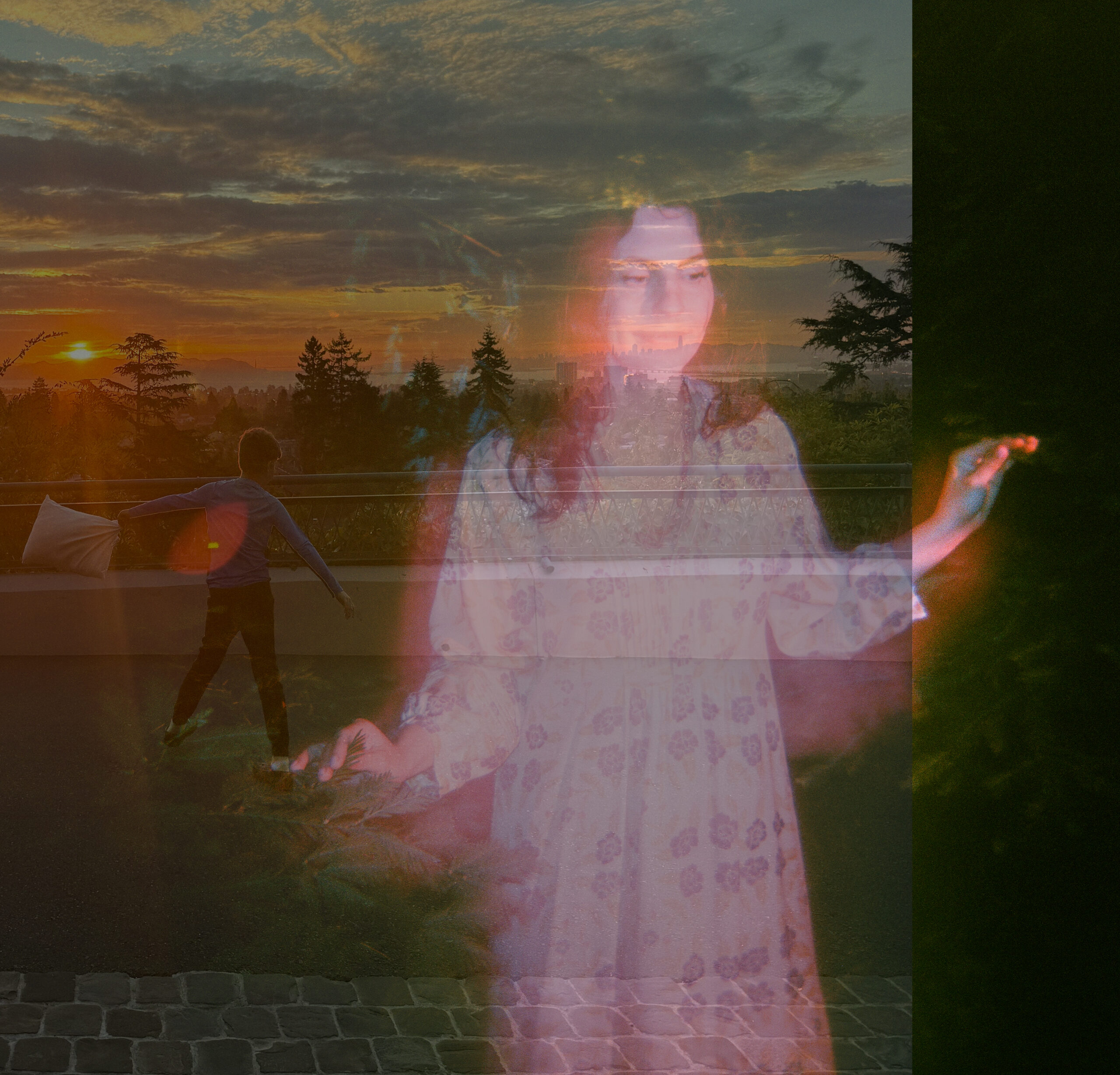 Sis and the Lower Wisdom - Wolf Child