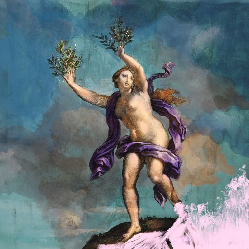 Santamarea - Zanzare