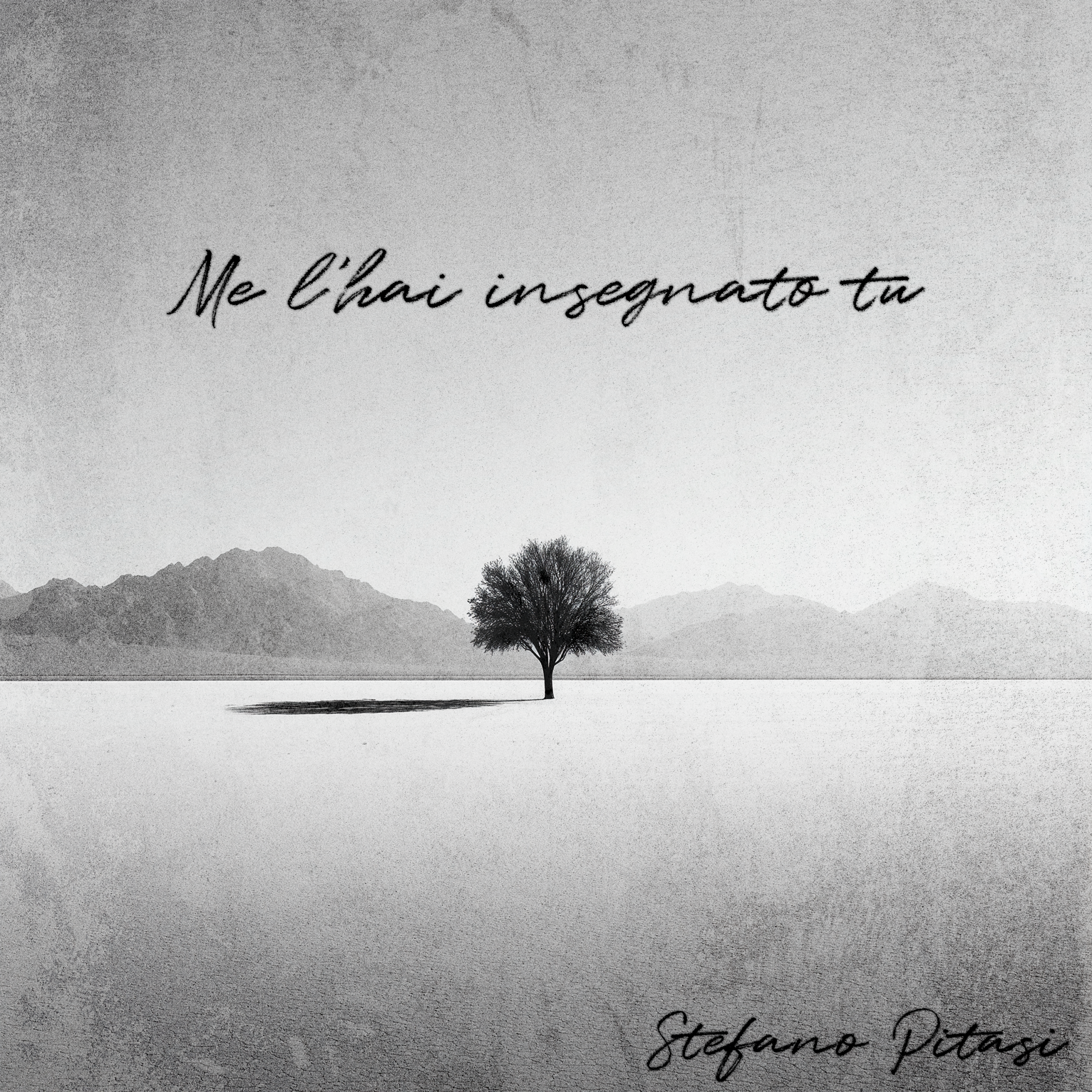 Stefano Pitasi - Me l'hai insegnato tu