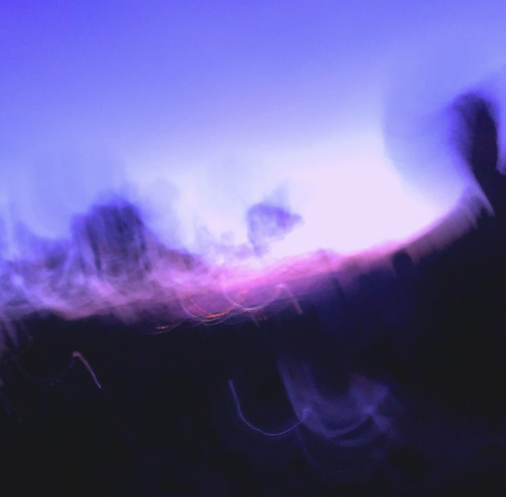 Life and Coral - Mirage