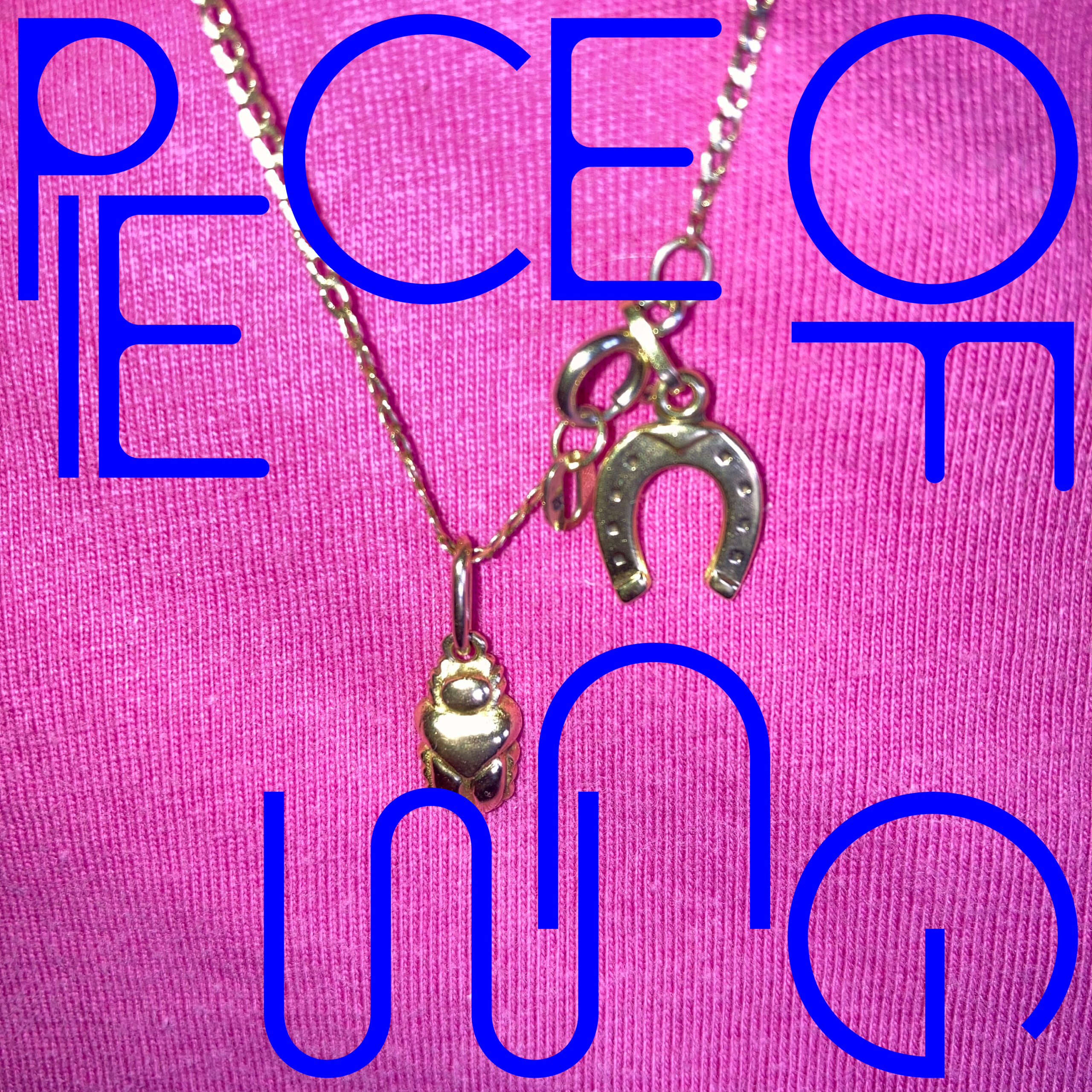 Pet Owner - Piece of Gum