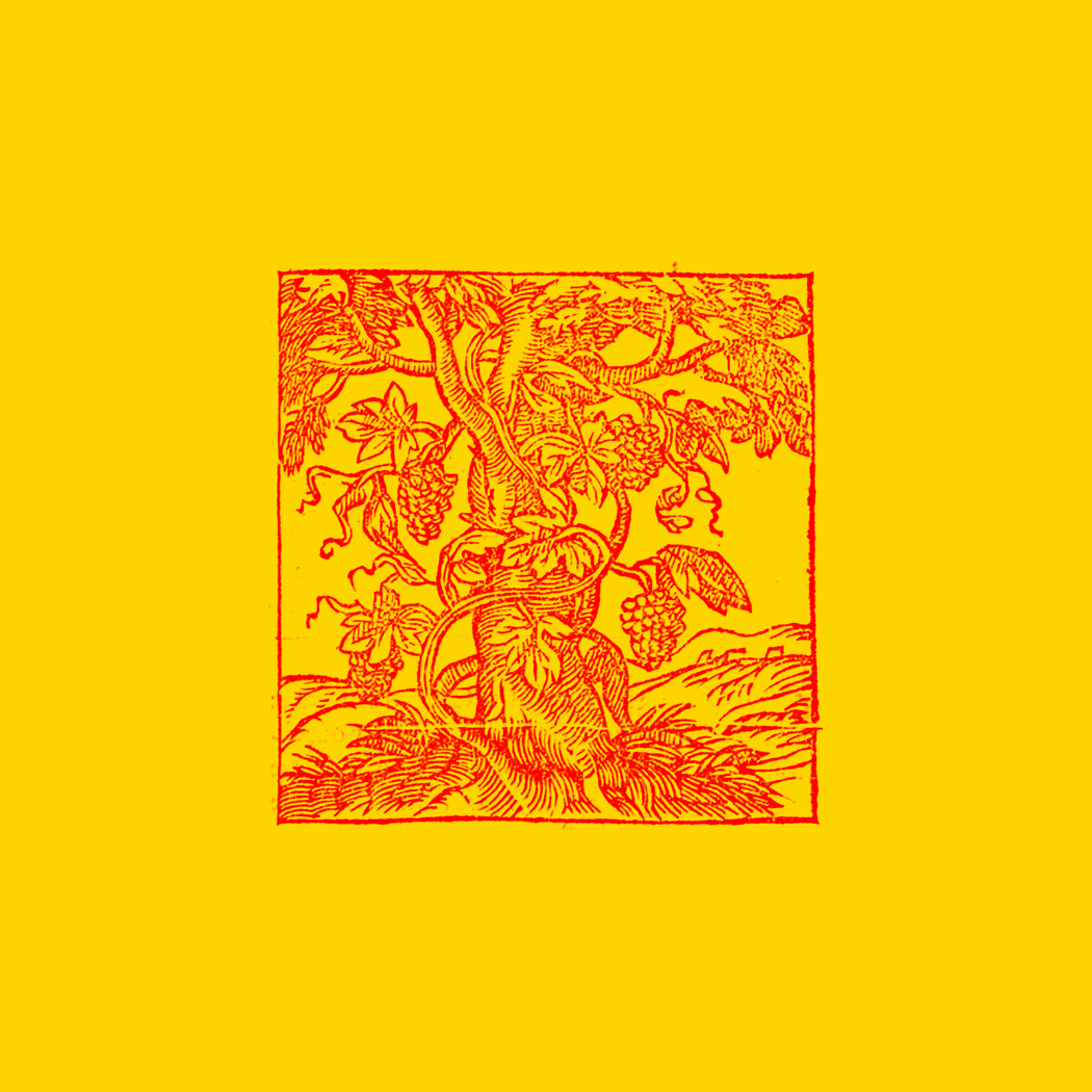 Sandri - Bye bye samurai _ vite