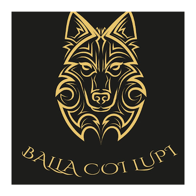 BALLA COI LUPI -  TANTO... PIOVE LO STESSO...