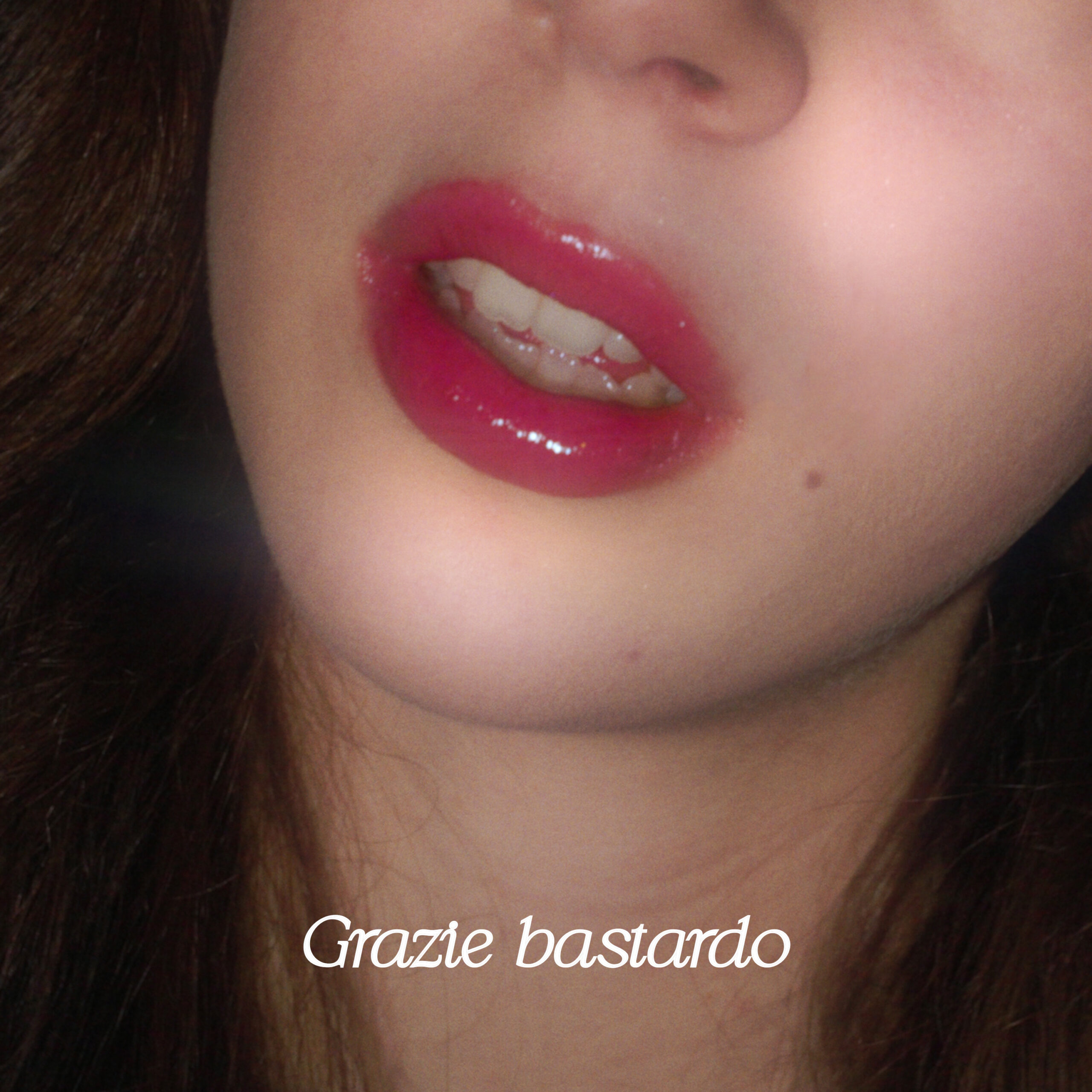 Chimera - Grazie bastardo