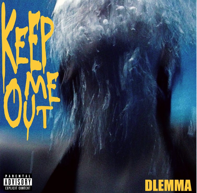 DLEMMA - Dog In A Nightgown