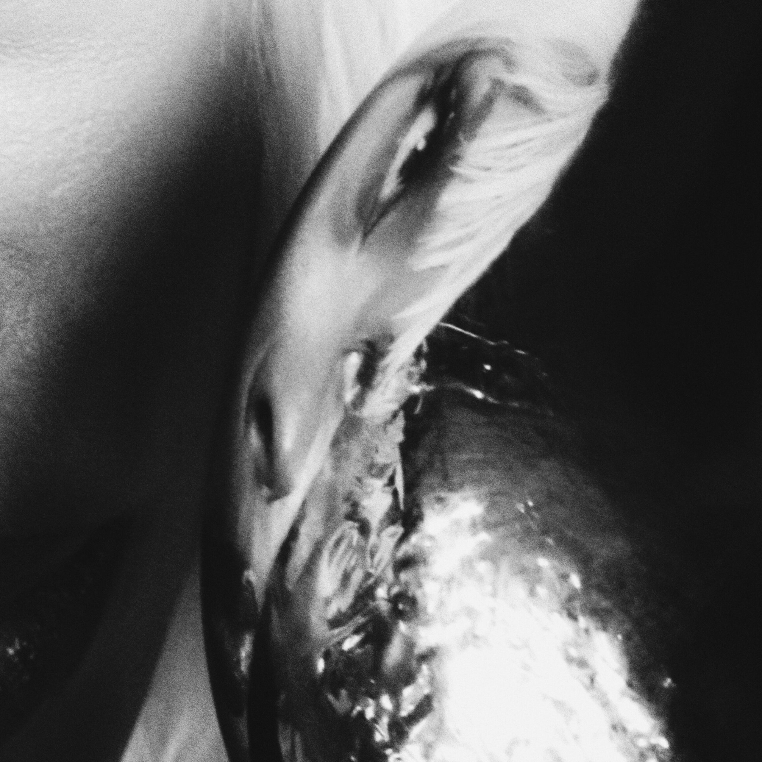 adaolisa - until i’m nothing