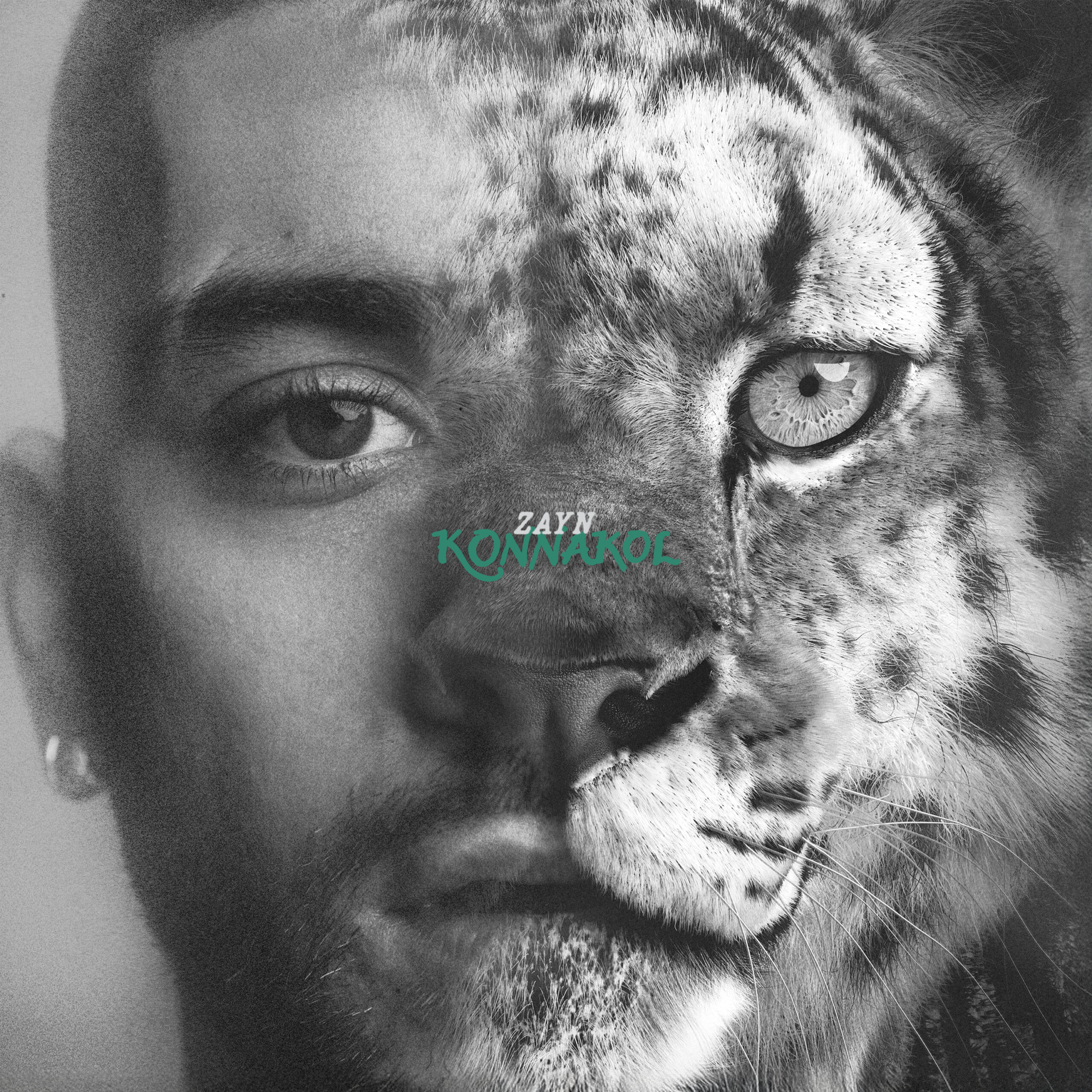 ZAYN - Sideaways