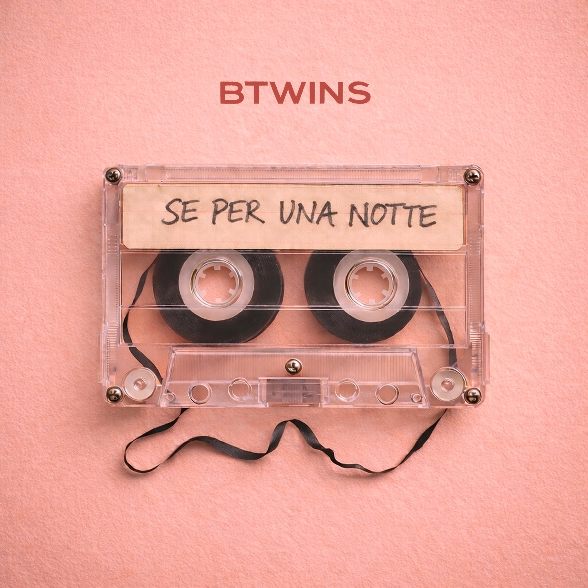 BTWINS - Se per una notte