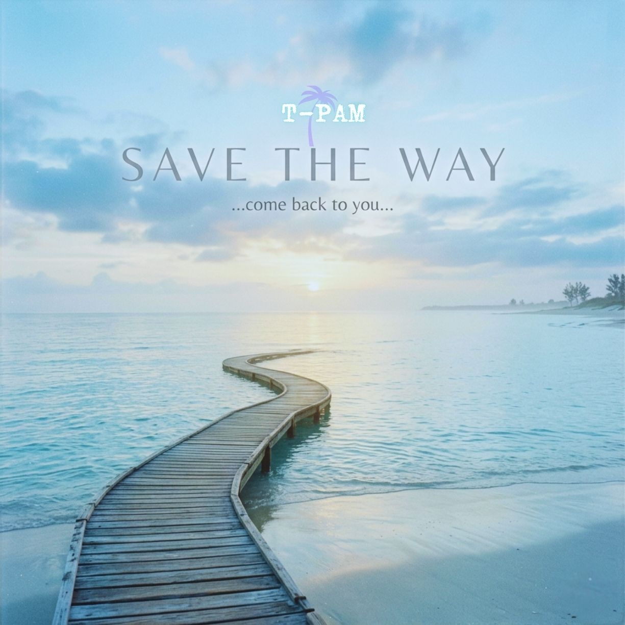 TPam - Save the Way (Come Back to You)